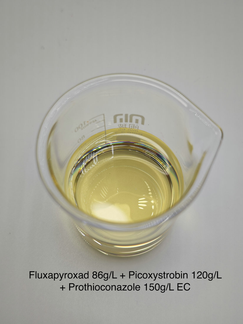 Fluxapyroxad 86g/L + Picoxystrobin 120g/L + Prothioconazole 150g/L EC